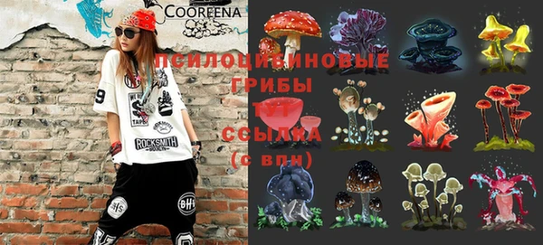 PSILOCYBIN Алексеевка