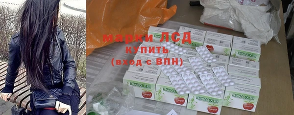 apvp Алзамай