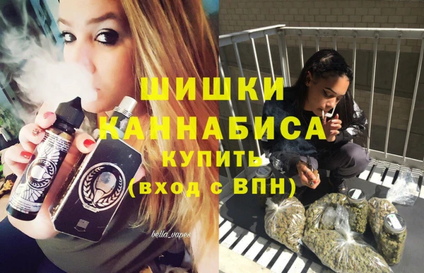 крисы Снежногорск