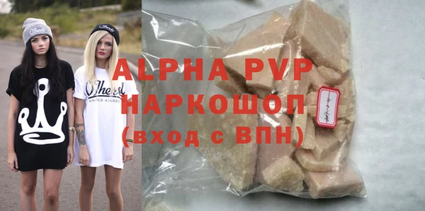 винт Губаха