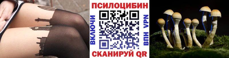 Галлюциногенные грибы Psilocybe blacksprut ONION Ардатов как найти